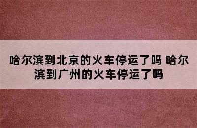 哈尔滨到北京的火车停运了吗 哈尔滨到广州的火车停运了吗